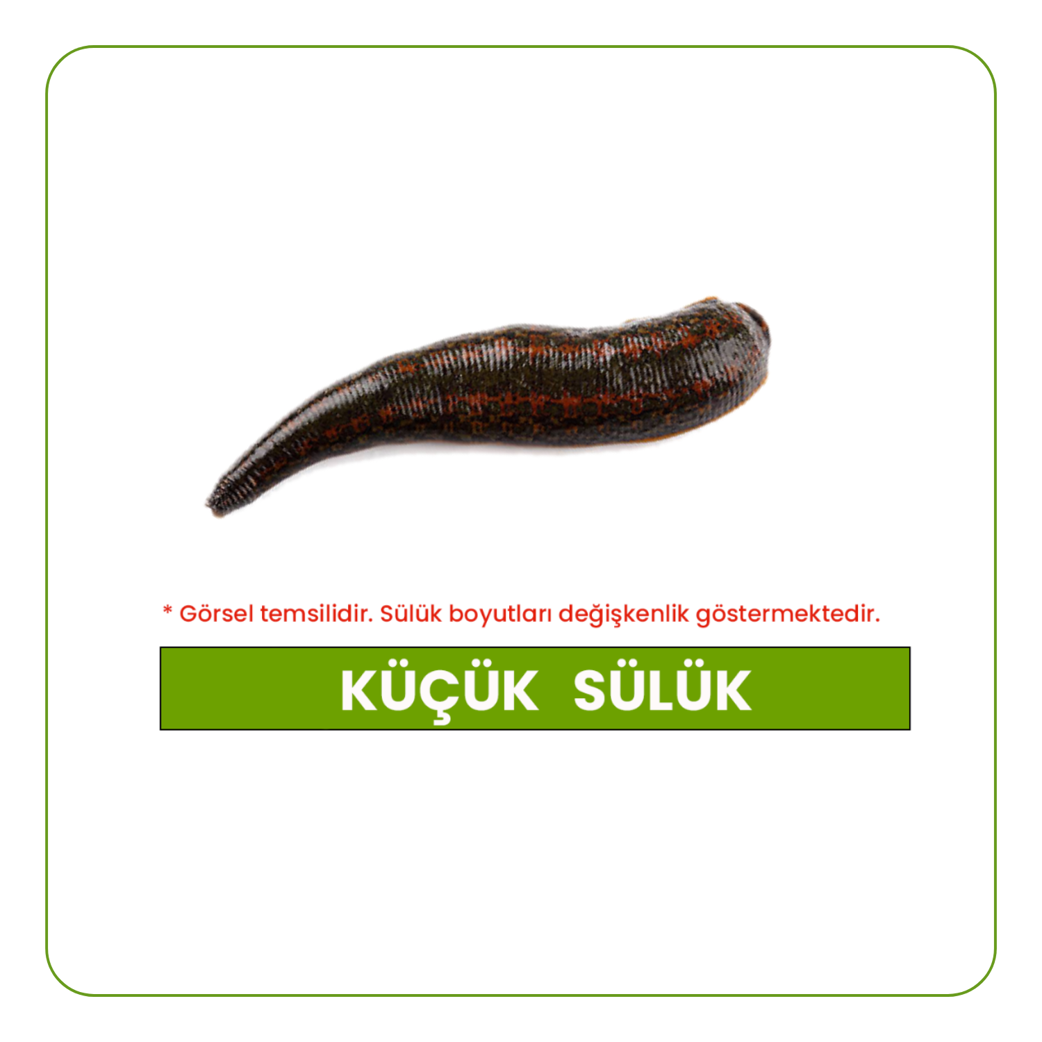 kucuk-suluk-botoks-suluk